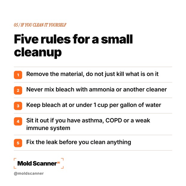 slide 7