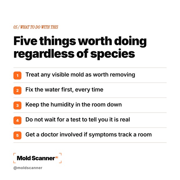 slide 7