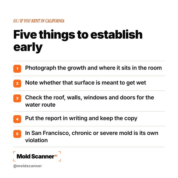 slide 7
