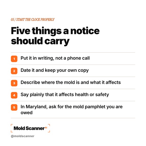 slide 7