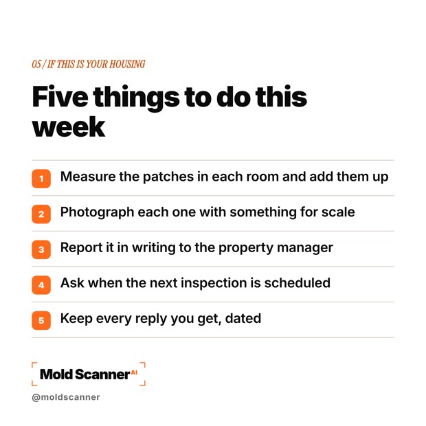 slide 7