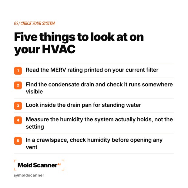 slide 7