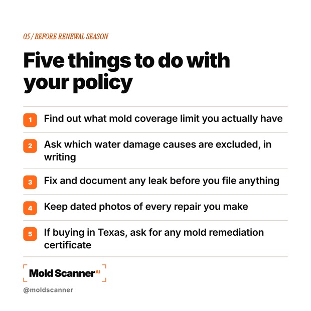 slide 7