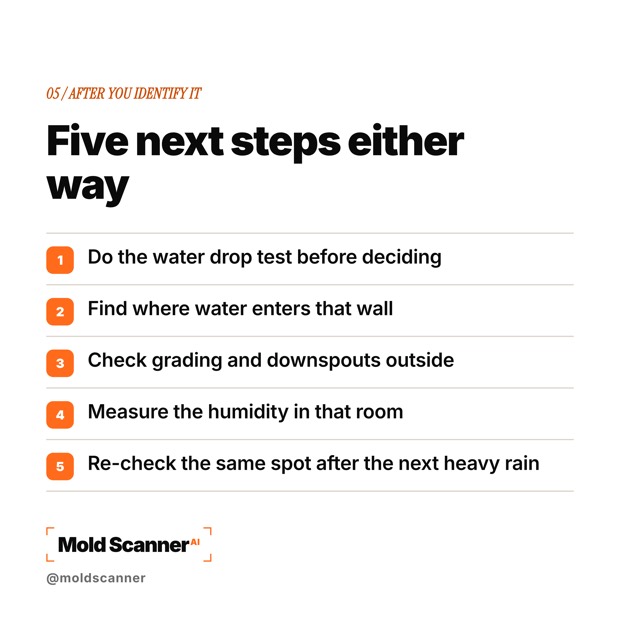 slide 7