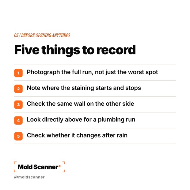 slide 7
