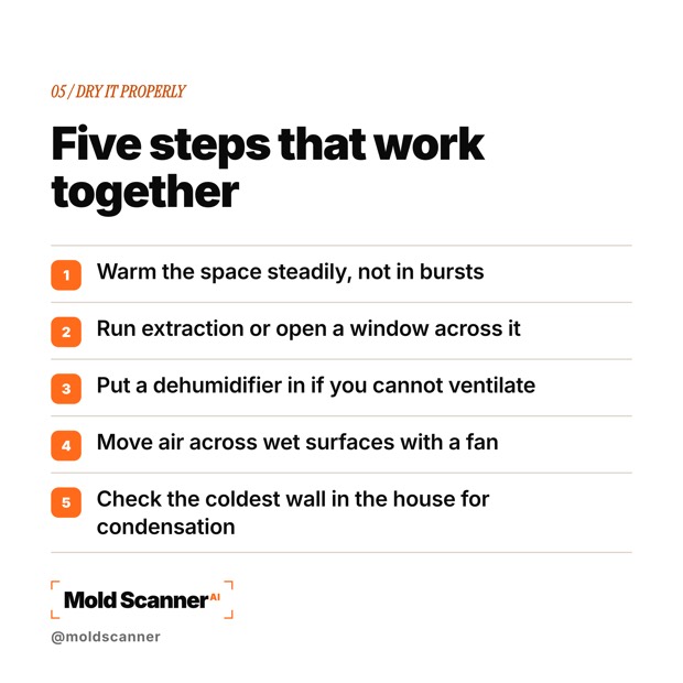 slide 7
