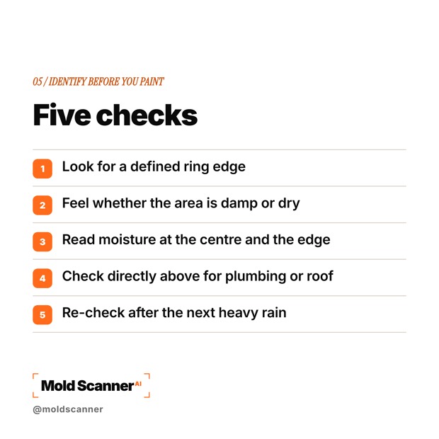 slide 7