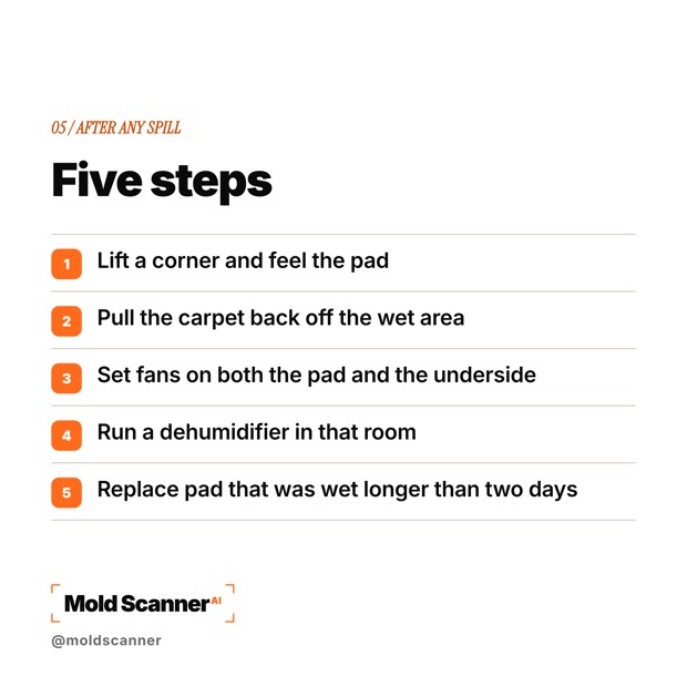 slide 7