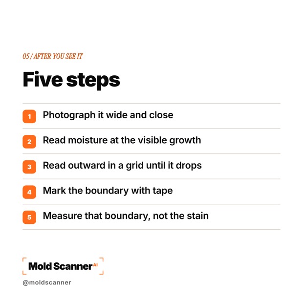 slide 7