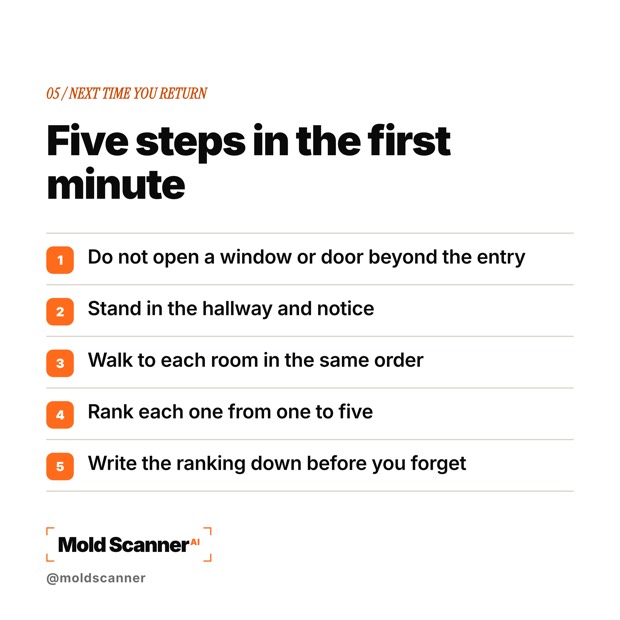 slide 7