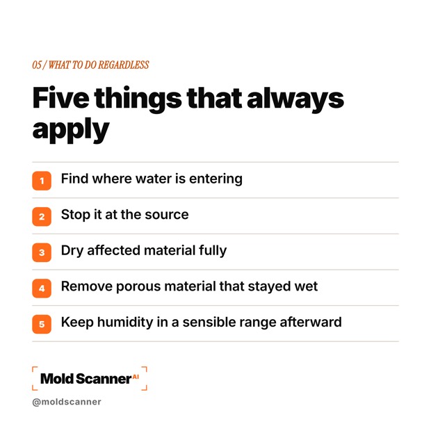 slide 7