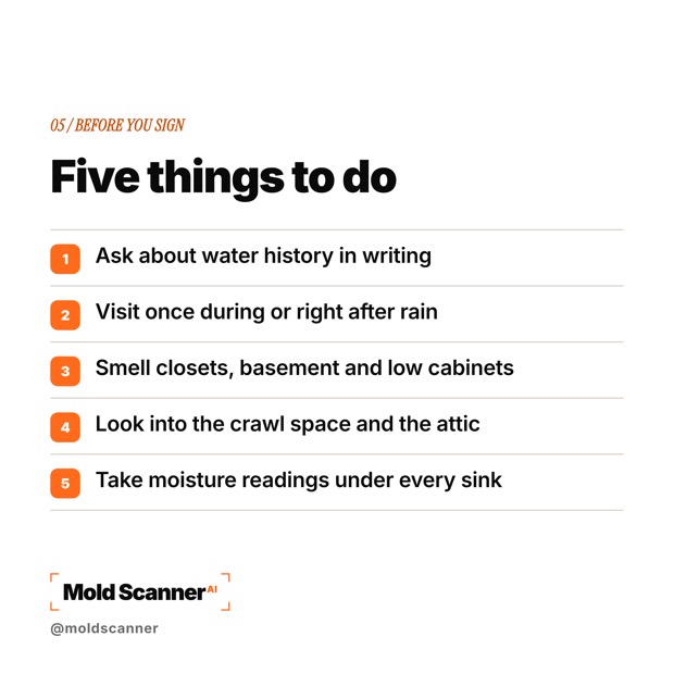 slide 7
