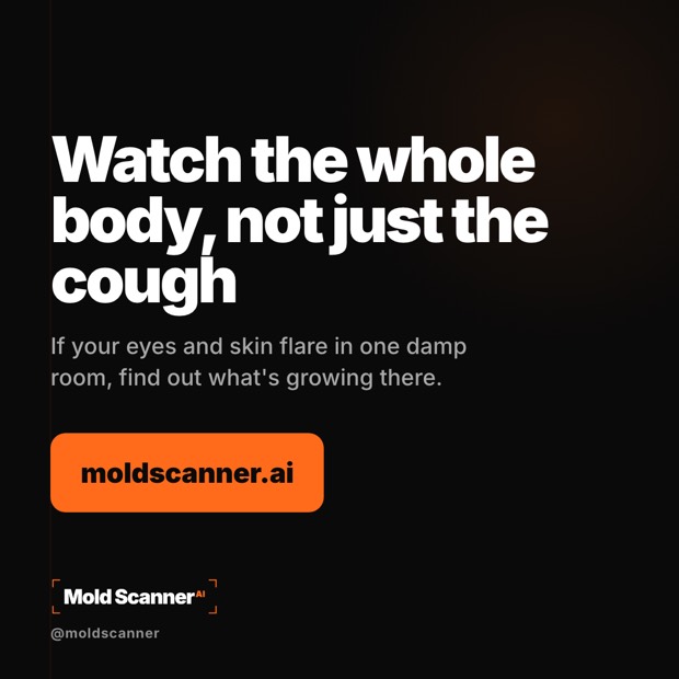 slide 8