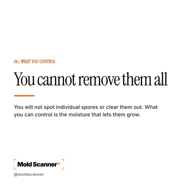slide 7