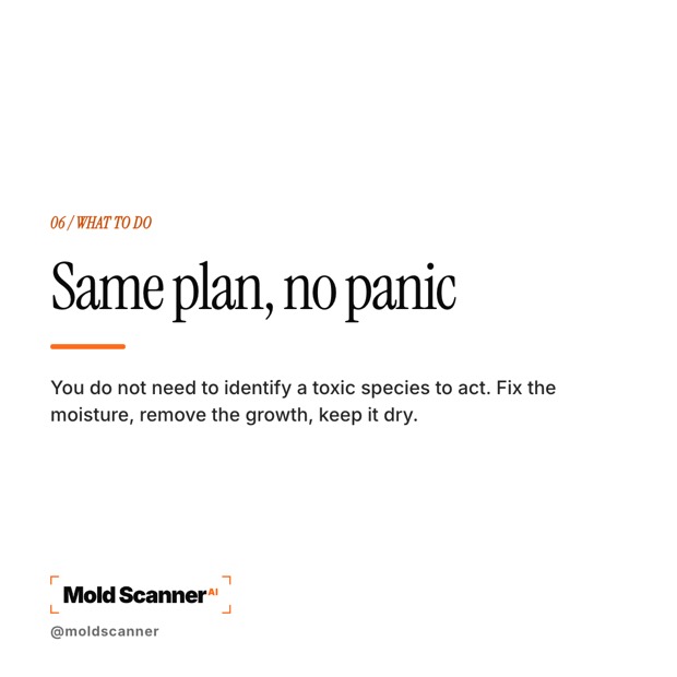 slide 7