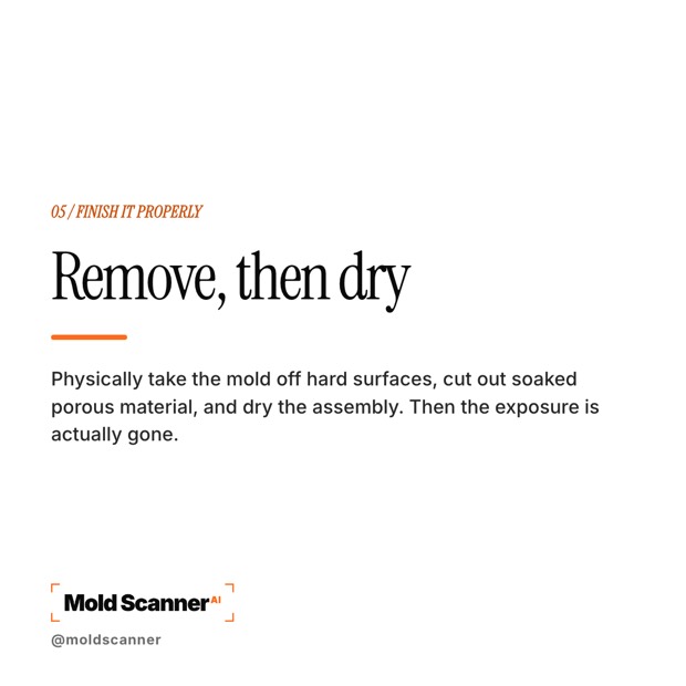 slide 7