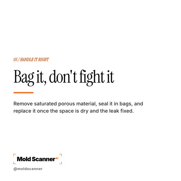 slide 7