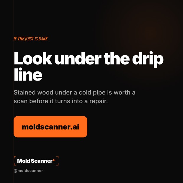 slide 8