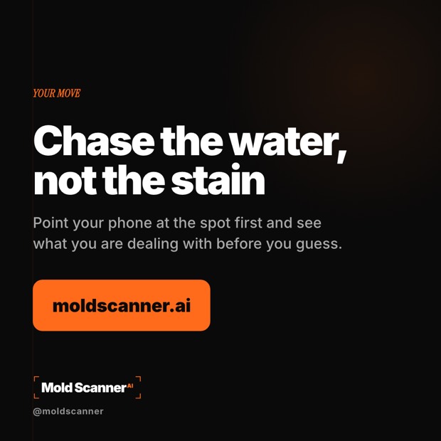 slide 8