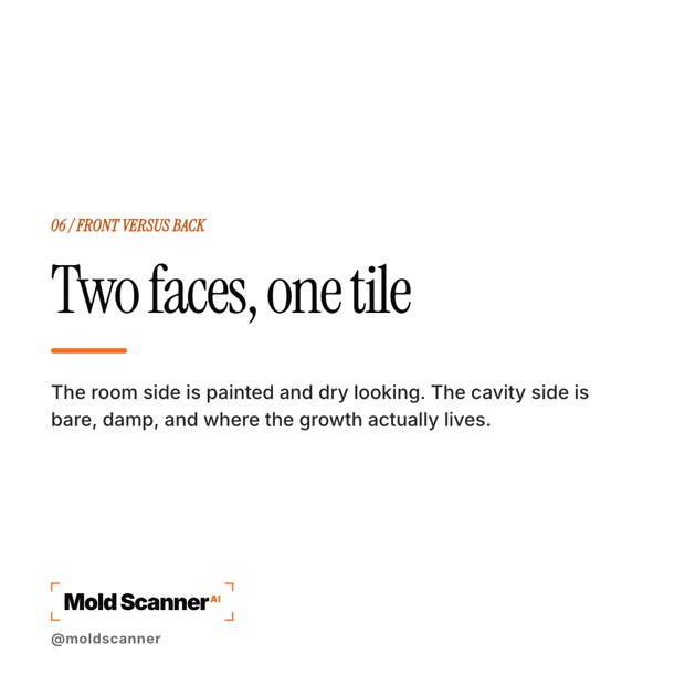 slide 7