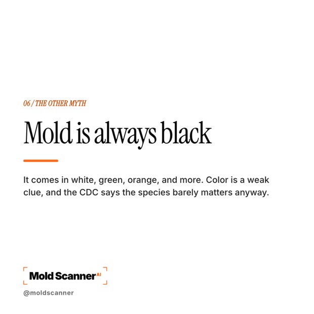 slide 7
